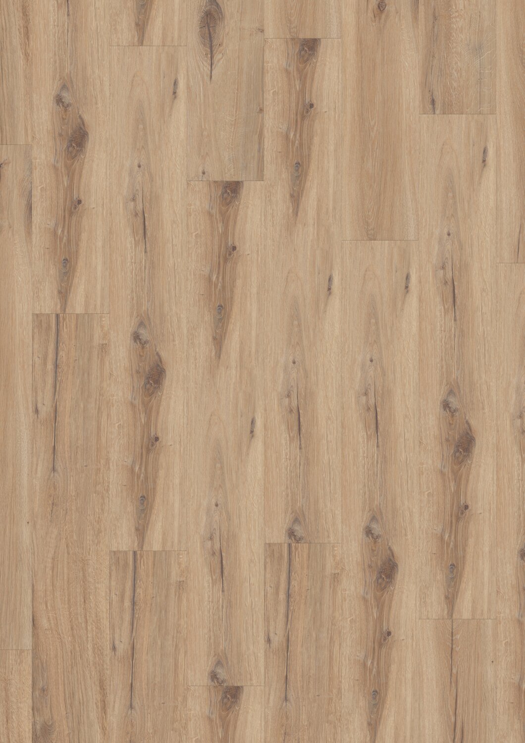 Vinylboden Virtuo 30 Rigid Acoustic  Daintree Honey Landhausdiele 22,90 x 125,00 cm, F21161