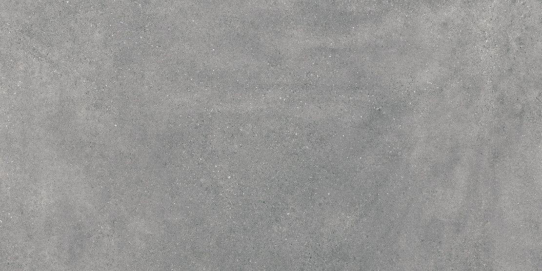 Wand/Bodenfliese Portland gris matt rekt. 60 x 120, F220026