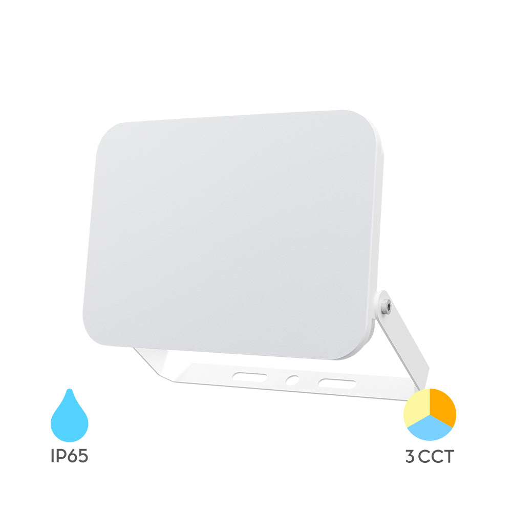 Braytron LED Flutlichtstrahler 30W, IP65, 3CCT, gleichmäßiges Licht ohne sichtbare LEDs, Außenstrahler für Einfahrt, Hof und größere Flächen
