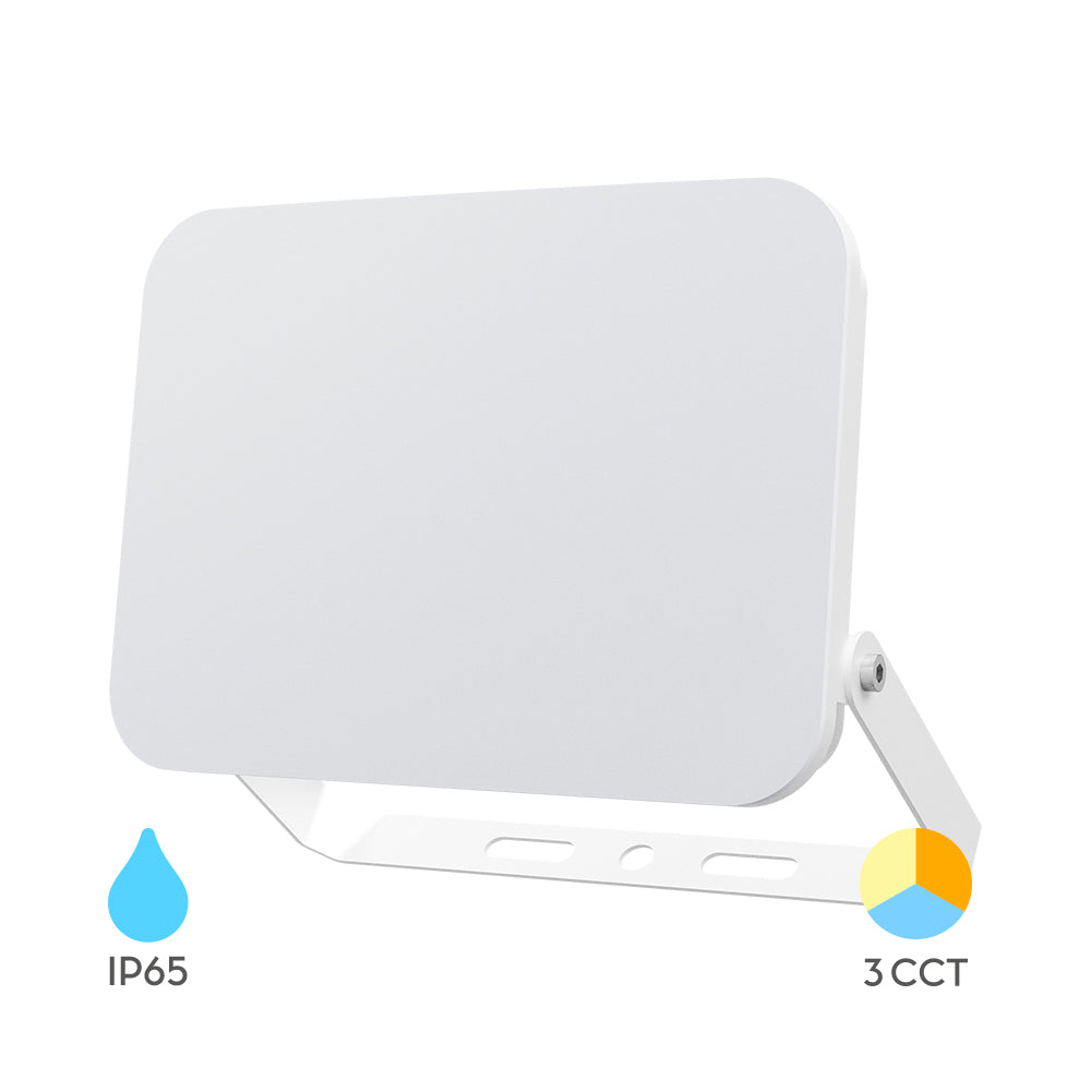 Braytron LED Flutlichtstrahler 100W, IP65, 3CCT, gleichmäßiges Licht ohne sichtbare LEDs, Außenstrahler für Baustellen, Hallen und große Flächen