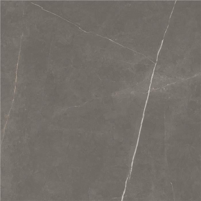 Wand/Bodenfliesen Roma stone graphite sat rekt. 100x100cm, F220185