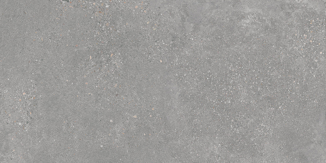 Wand/Bodenfliesen  Memory  gris matt   rekt. 60 x 120, F220039